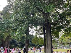 -深圳湾公园(南山区)
