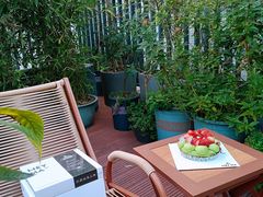 -Dark Horse·黑马蛋糕·低脂·低糖淡奶(金匙望湖大厦店)