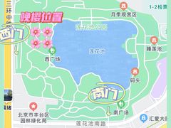 -莲花池公园