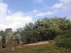 -东南花都花博园