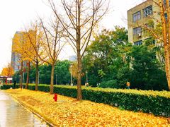 -浙江万里学院(钱湖校区)