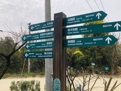 -都江堰玫瑰花溪谷