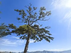 -北岳恒山