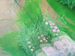 -网鱼电竞(杨浦中原店)