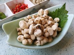 -烹然四季椰子鸡火锅(团结湖总店)