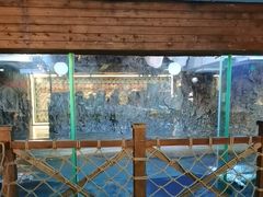 -海合安青岛极地海洋公园