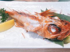 -板长寿司(铜锣湾店)