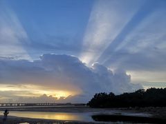 -宝安西湾红树林湿地公园