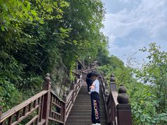 -青峰峡国家森林公园