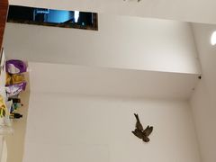 -老猎户炭火锅羊汤(万达店)