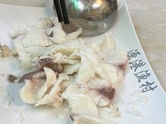 -源港渔村-中山脆肉鲩(博罗店)