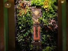 -厦门日月谷温泉渡假村