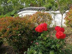 -威海华夏城景区