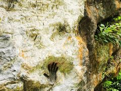 -西岭雪山大飞水景区