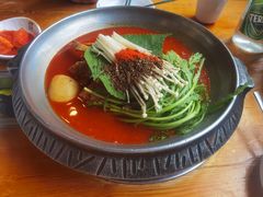 -喇喇排骨火锅·传统韩式脊骨汤(望京西园总店)