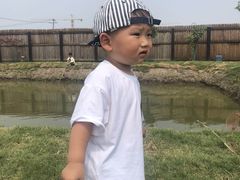 -南汇新场正宗水蜜桃采摘