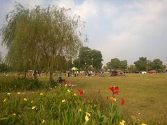 iphone_upload_pic-漕湖湿地公园