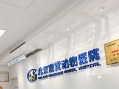 -北京观赏动物医院·24小时大型综合·猫专科·异宠专科