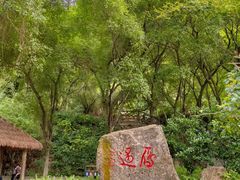 -大雁山风景区
