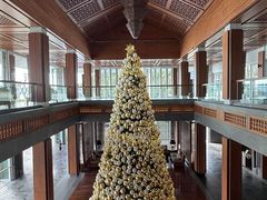 -日落吧·海景咖啡厅·餐酒吧·鸡尾酒·下午茶·乐队表演·浪漫夕阳·三亚文华东方酒店