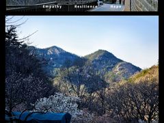 -崂山九水游览区