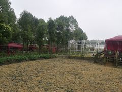 -洪湖家庭农场·团建·露营·会议