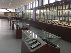 -南通洲际绿博园