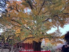 -红螺寺