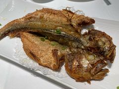 -金春禧(和谐广场店)