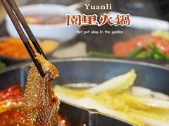 -园里火锅(仁和新城店)