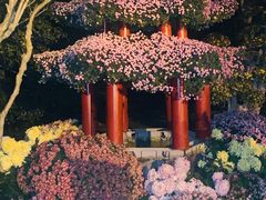 -杭州植物园