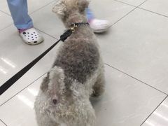 -纳吉亚猫专科动物诊疗中心(蒋宅口分院)