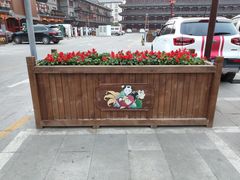 -老城味道·传统天津菜(杨柳青店)