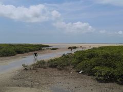 -北海金海湾红树林生态旅游区