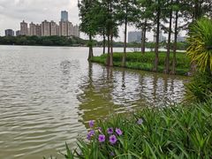 -顺峰山公园