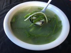 -马帮菜馆·美味野生菌
