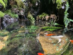 -太平洋海底世界