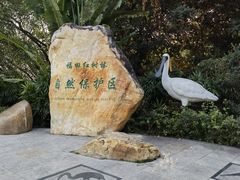 -福田红树林生态公园
