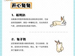 -立德动物医院·异宠·CT·鹦鹉(天河店)