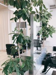 点击看大图 -Hair Gallery