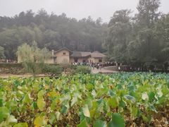 -韶山毛泽东同志故居