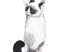 -歌神量贩式KTV(金谊店)