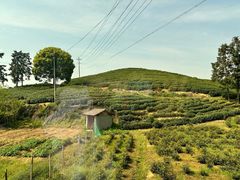 -帐篷客·溪龙茶谷度假酒店