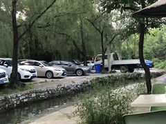 -可心烤鱼