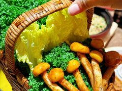 -蘑界·野生菌火锅(深业上城店)