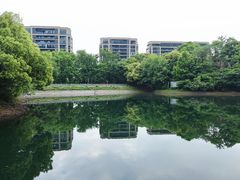 -杭州半山国家森林公园