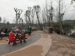 -枫香湖儿童公园