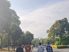 -宝安西湾红树林湿地公园