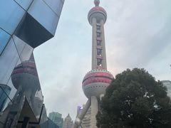 -上海大自然野生昆虫馆(东方明珠·爬宠昆虫探索中心)