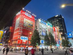 -秋叶原电器街